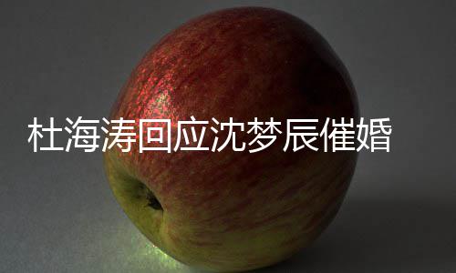 梦辰情现催婚辰感状如海涛何应沈涛回杜海 杜沈梦